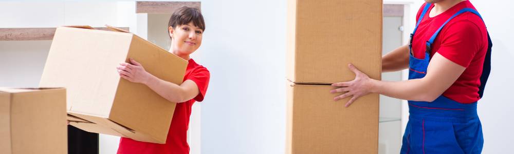 Umzug von Sitten nach Seekirchen am Wallersee